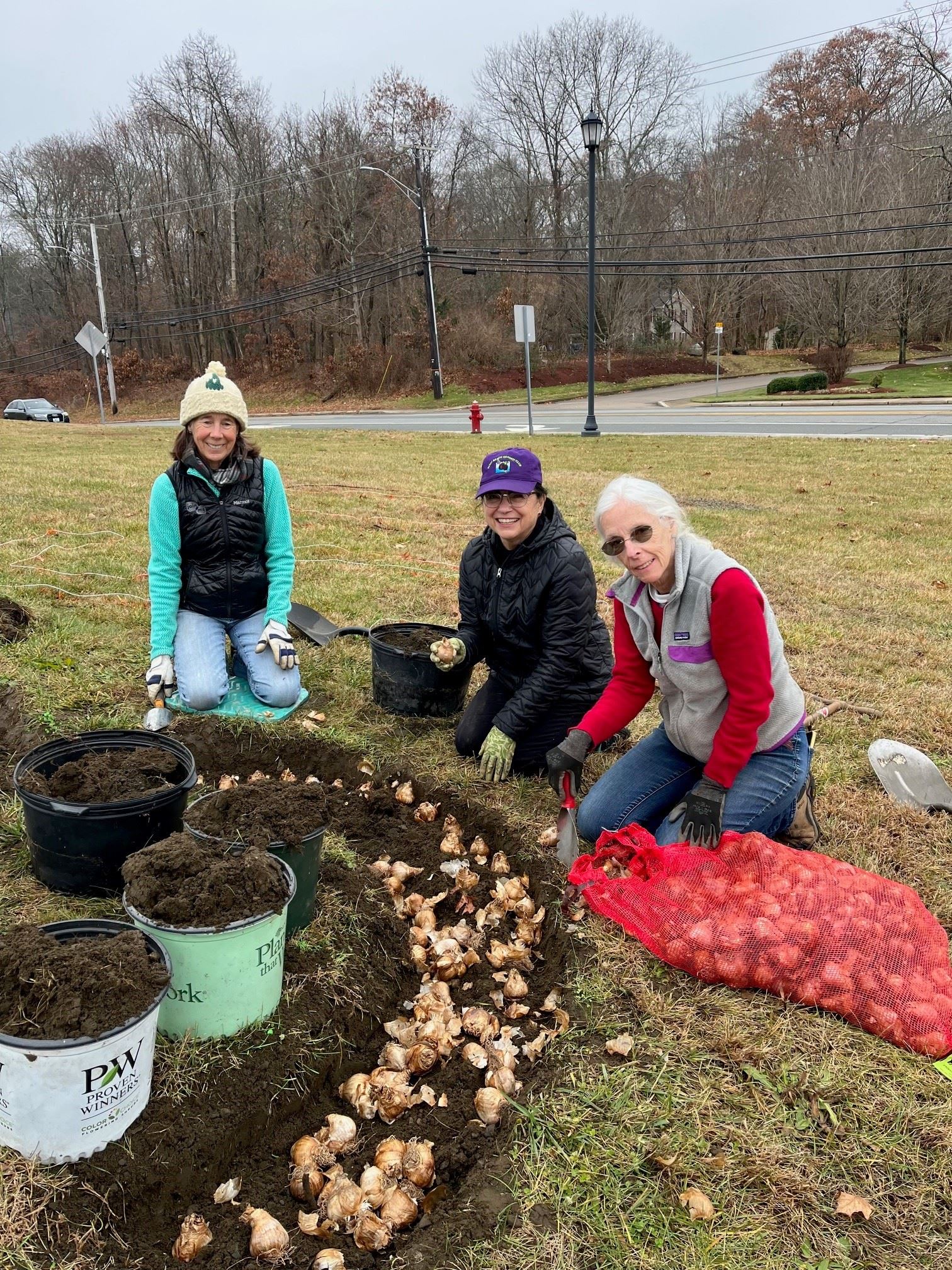 Three women from the garden club planting flower bulbs.